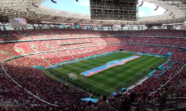 的困惑 的困惑